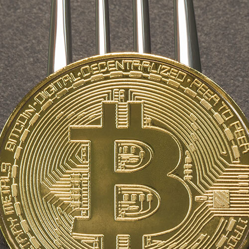 crypto coin fork