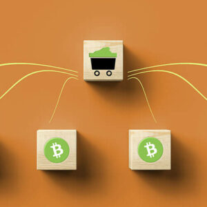 Bitcoin mining rewards