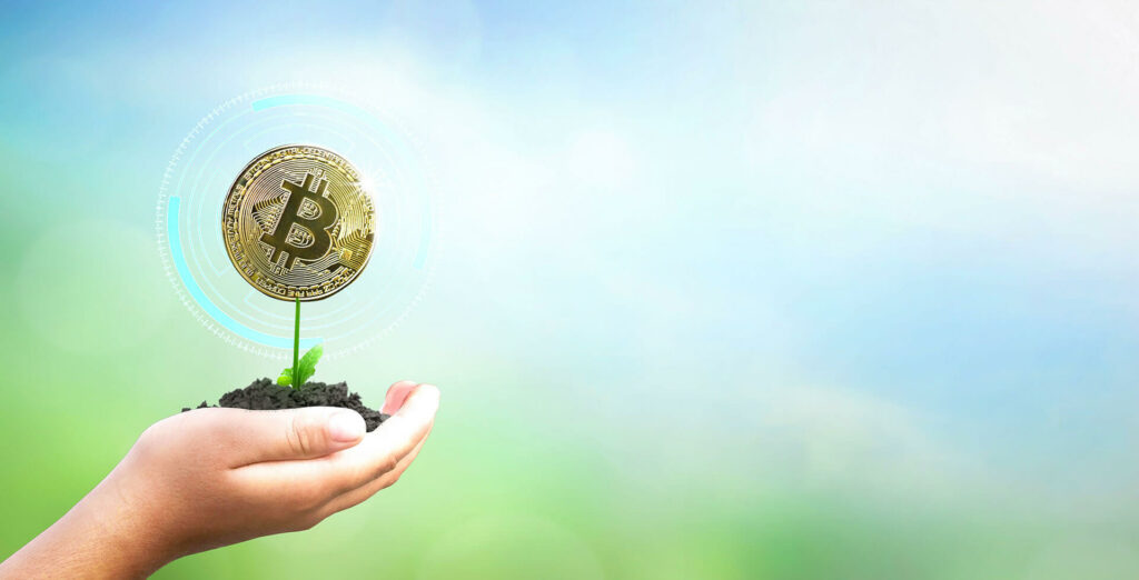 Hand holding a plant with bitcoin as flower on nature background
