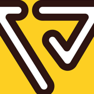 Vibe crypto icon